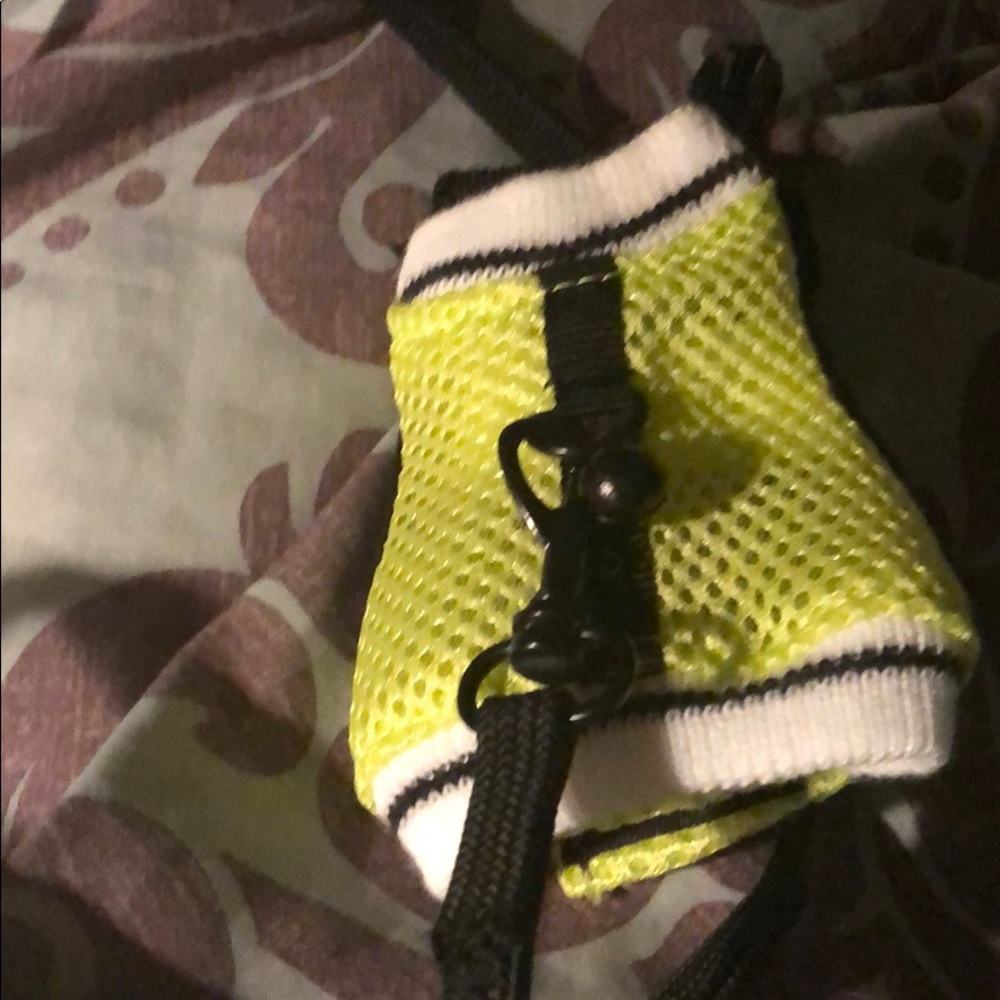 Ferret harness and leash